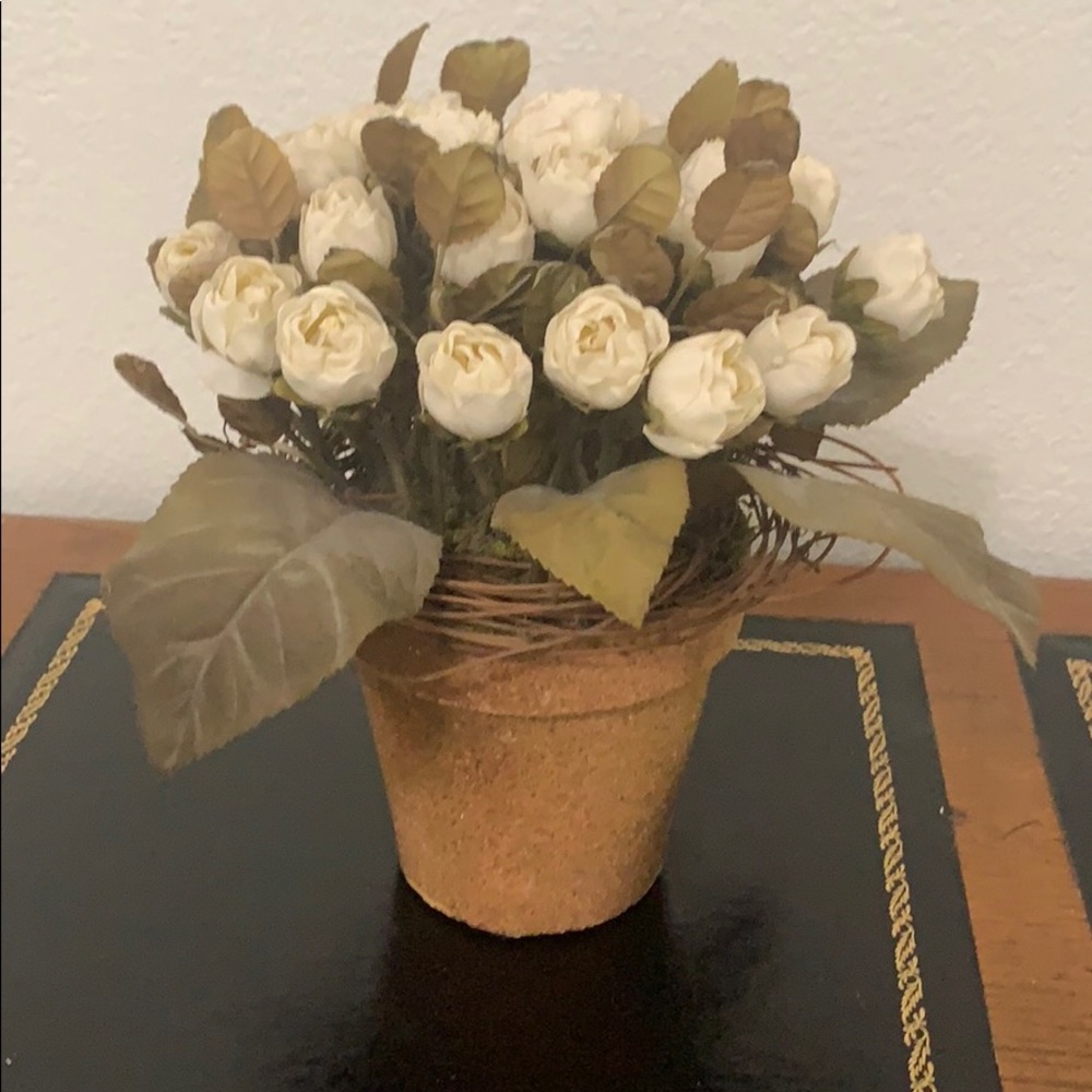 Floral Arrangement in Pot